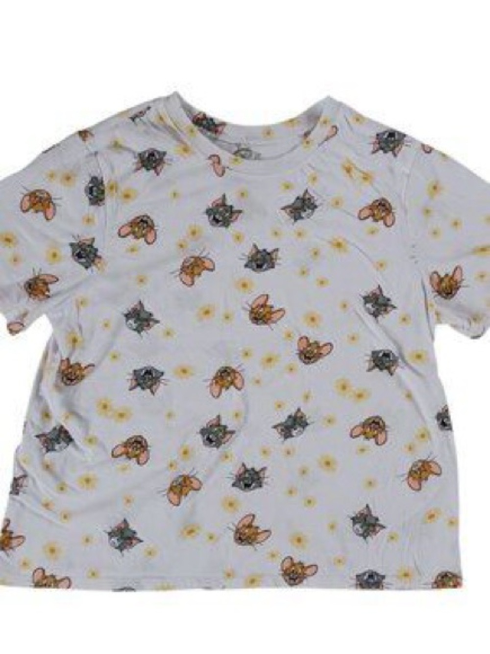 Warner Bros. White Crop Tee with Character & Daisy Print